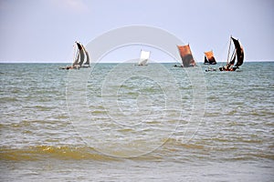 Fishing sailing boats in Negombo, Sri Lanka