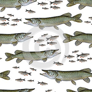 Fishing seamless pattern of fish. Background from pike and chub fish isolated on white