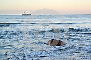 Fishing seiner in fishing in the Baltic Sea. Kaliningrad region