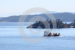 Fishing Seiner, Gulf Islands, British Columbia, Ca