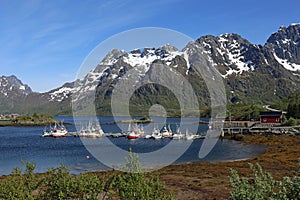 Fishing ships in Sildpollen, Lofoten