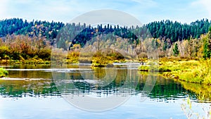 Fishing the spawning grounds of the Stave River downstream of the Ruskin Dam at Hayward Lake near Mission, BC, Canada