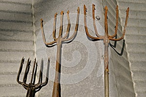 Fishing spears with five prongs