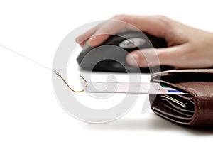 Fishing - stealing over Internet