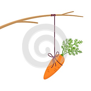 Fishing stick with hanging carrot