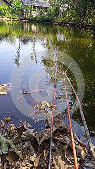 Fishing at sumertime