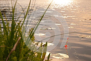 Fishing on the sunset