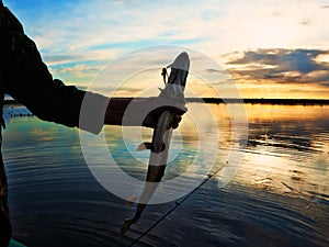 Fishing at sunset