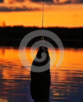 Fishing at sunset