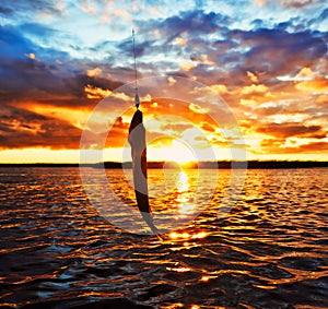 Fishing at sunset