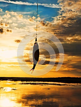 Fishing at sunset