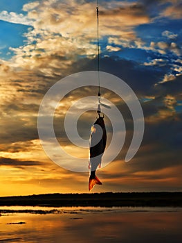 Fishing at sunset