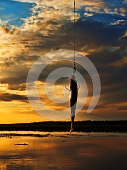 Fishing at sunset