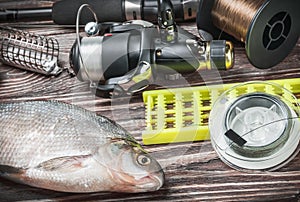 Fishing tackle and fished bream on a wooden table
