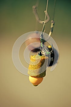 Fishing tackle. Fishhooks on line on blurred background photo