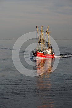 Fishing trawler on the North Sea, Schleswig-Holstein, Germany