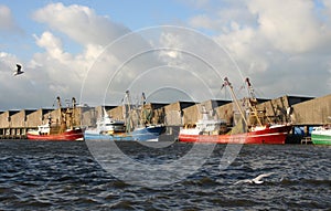 Fishing Trawlers in the Harbor