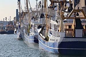 Fishing trawlers in the harbor of Scheveningen, Holland