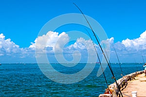 Fishing trolling panoramic rod and reels