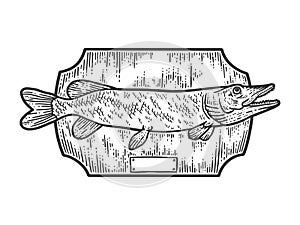 Fishing trophy stuffed fish, northern pike. Apparel print design. Scratch board imitation. Black and white hand drawn