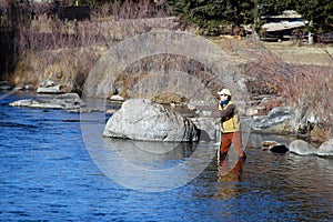 Fishing for trout