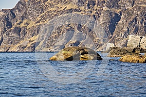 fishing vacation in selje norway. a paradise for anglers and nature lovers