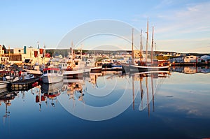 Fishing village of Husavik, Iceland.