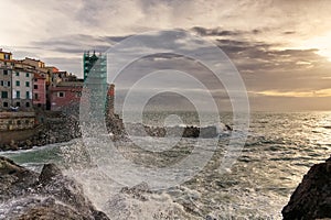 Fishing village - Tellaro - Ligurian sea - Italy