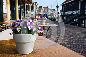 Fishing village volendam in the netherlands