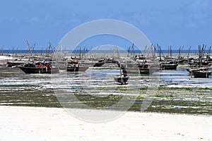 Fishing village in Zanzibar