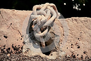 Fishing white rope, close-up