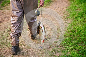 A fishman going away by pathway with fresh fish photo