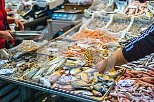 Fishmarket with fresh local products photo