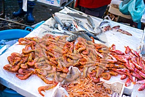 Shrimps and fish on local fishmarket photo