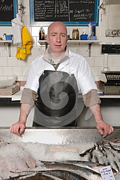 Fishmonger in apron