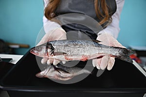 The fishmonger behind the counter holding a fresh fish in his hands. Focus on a silver sea bass in the hands of an unrecognizable