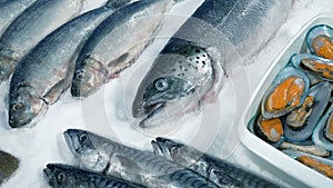 Fishmonger Seafood Spread On Ice