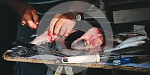 Fishmonger skinning dogfish at a Mediterranean fish market