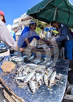 Fishmongers in Taghazout surf village,agadir,morocco