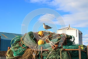 Fishnet bales, rolled up, ready to fish with seagull