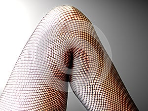 Fishnet Leg