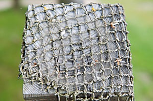 FishNet on a wood fence