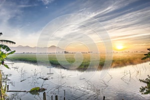 Fishpond followed by very vast, broad, extensive, spacious rice field