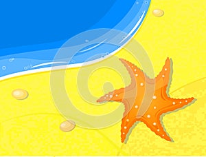 Fishstar on sand near sea photo