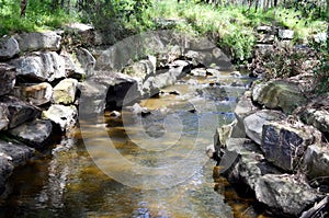 Fishway fish ladder on river at Lane Cove National Park Sydney Australia