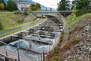 The Fishway Flowing Past Powerhouse One at the Bonneville Dam, Cascade Locks, Oregon, USA
