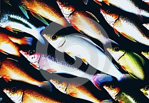 fishy background. Ai generated