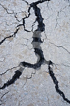 Fissure in asphalt