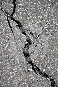 Fissure in asphalt