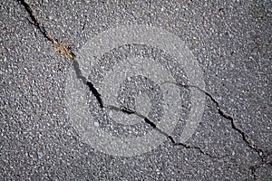 Fissure in asphalt
